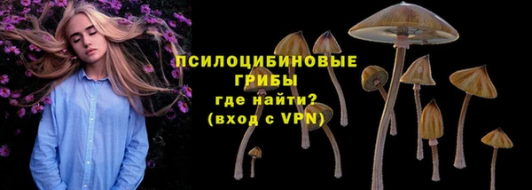 apvp Бугульма