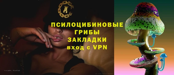 apvp Бугульма