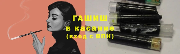 эйфоретик Бородино