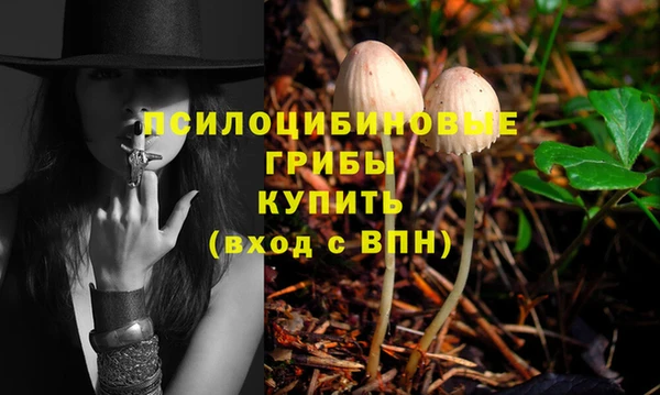 apvp Бугульма